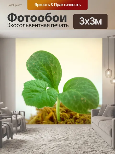 Фотообои Молодое дерево
