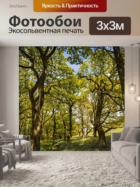 Фотообои Зеленый лес