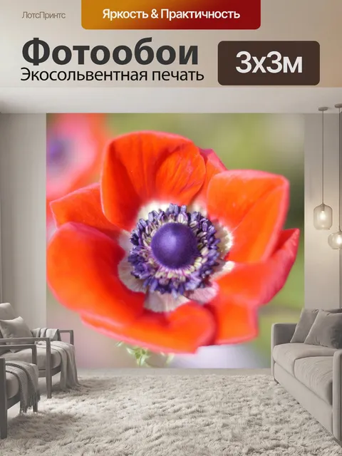 Фотообои Красный