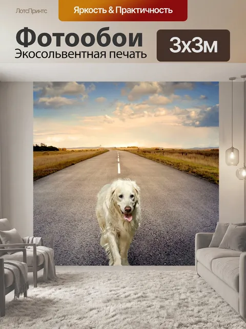 Фотообои Собака