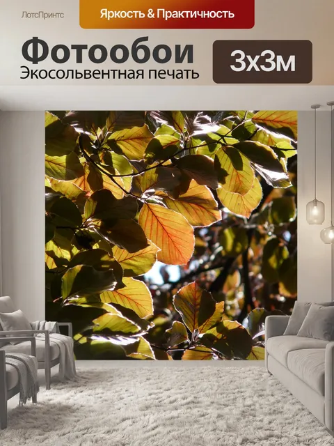 Фотообои Кровавый бук