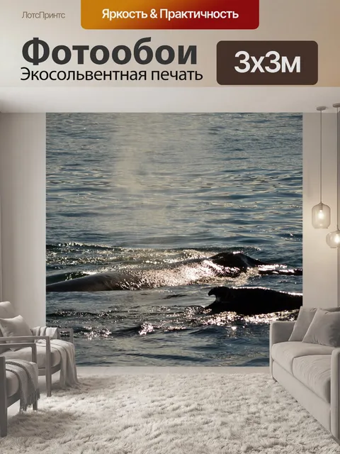 Фотообои Китов