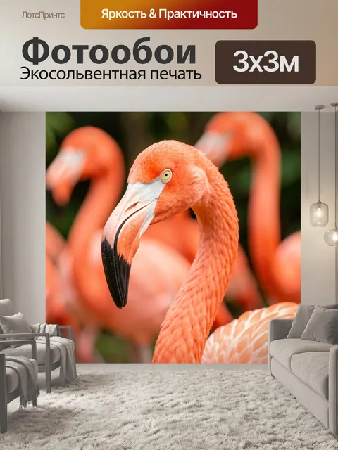 Фотообои Розовый фламинго крупным планом