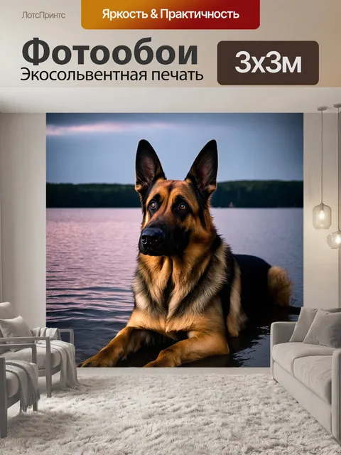 Фотообои старая немецкая овчарка, покоящаяся на берегу озера, отражается в воде