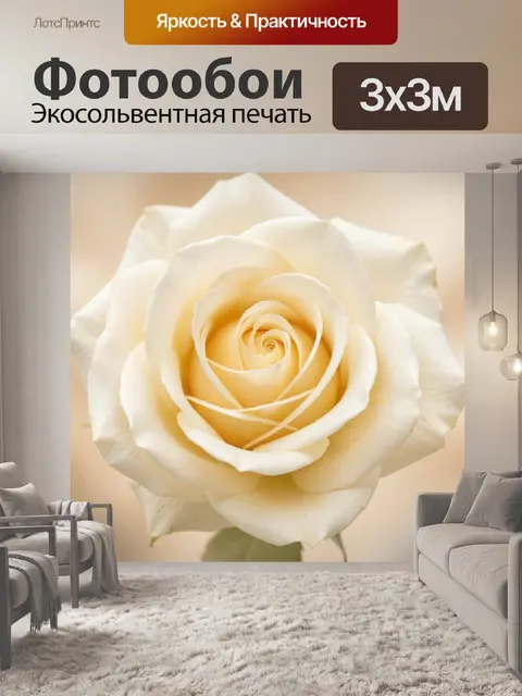 Фотообои Крупный план кремовой розы