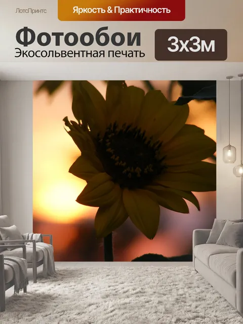 Фотообои Подсолнечник на закате