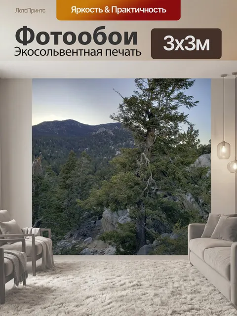 Фотообои Дерево в скалах в лесу