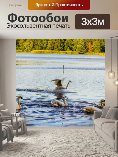 Фотообои Лебедь