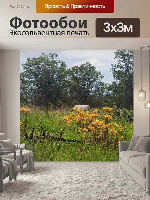 Фотообои дикие желтые цветы и ветви