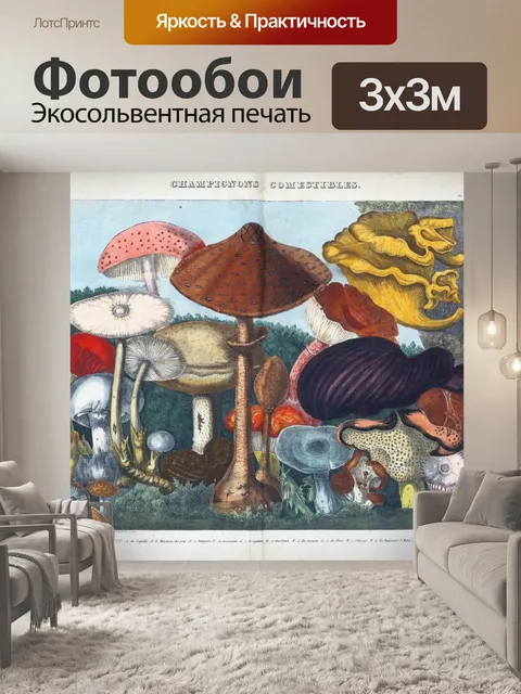 Фотообои Винтажная иллюстрация чемпиона грибов