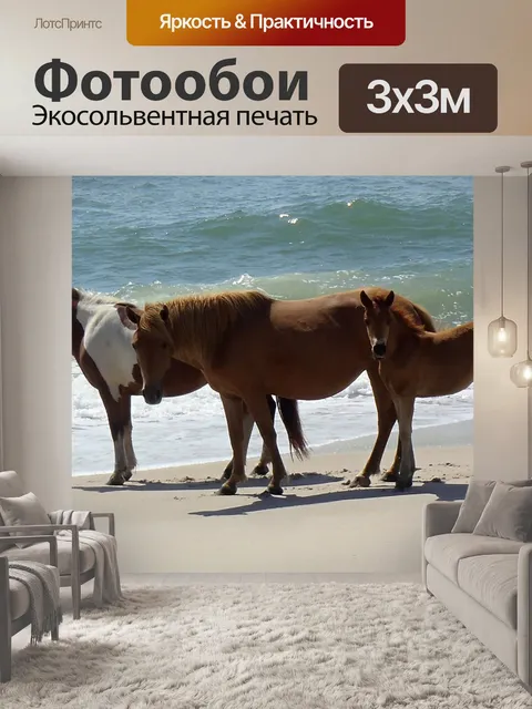 Фотообои Дикий Assateague Остров Ponies