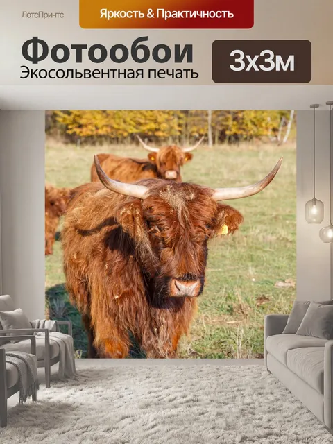 Фотообои Горный скот