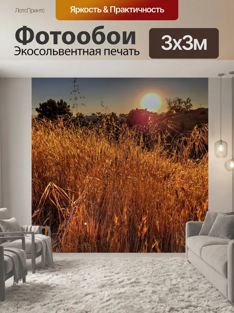 Фотообои Золотая высокая трава