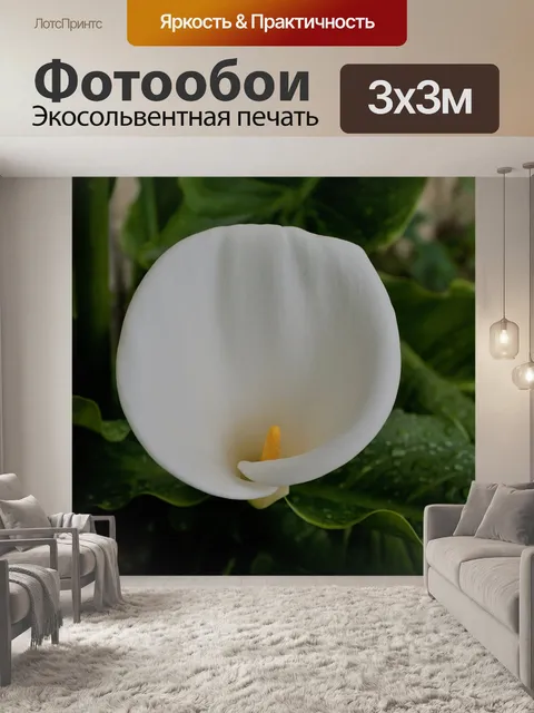 Фотообои цветок аронник