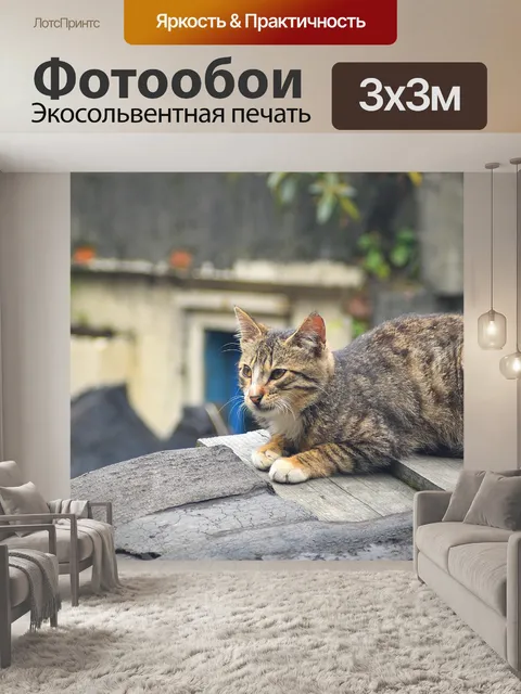 Фотообои Кошка