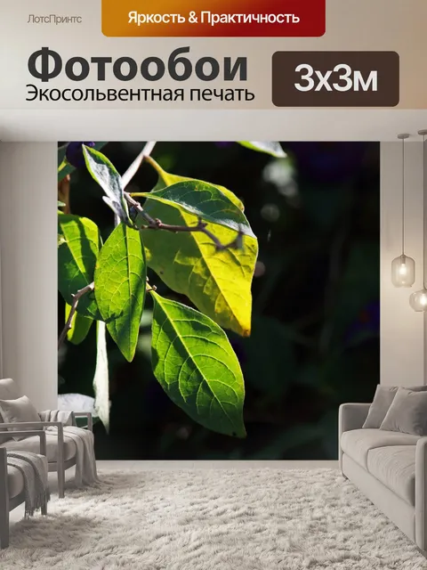 Фотообои солнечный свет на зеленых листьях на вет