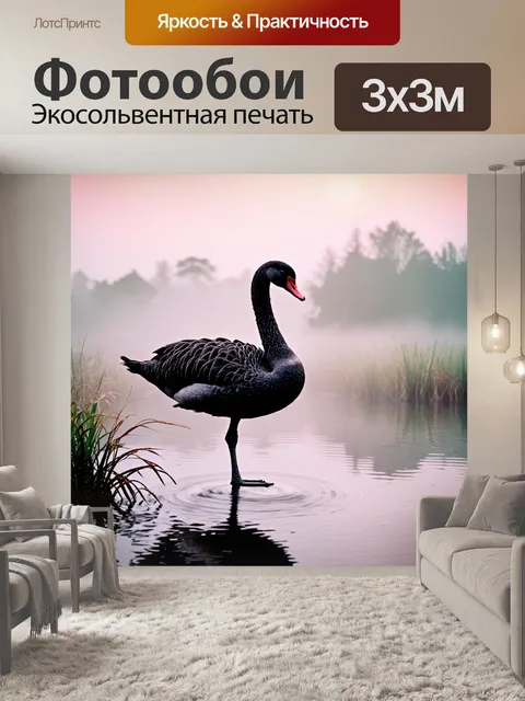 Фотообои черный лебедь, стоящий на одной ноге на фоне утреннего тумана, окутывающего пруд