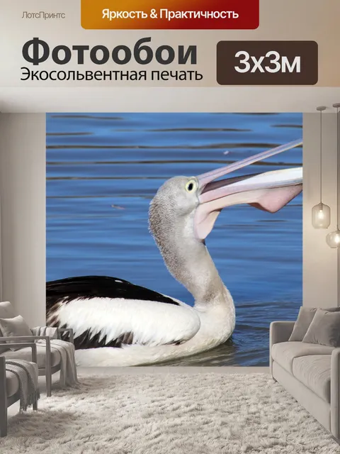 Фотообои Птица