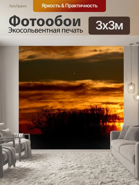 Фотообои Поднялся