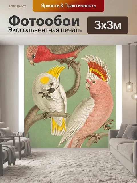 Фотообои Старинные Какаду Попугаи Птицы