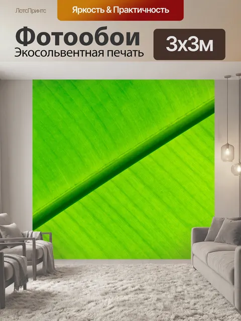 Фотообои Зеленый лист пальмы
