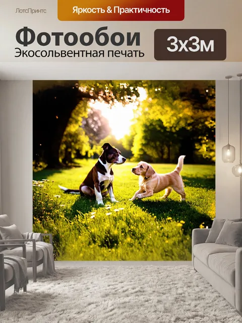 Фотообои собака сидит на мягком зеленом газоне