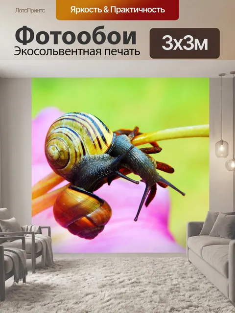Фотообои Wstężyki gajowe