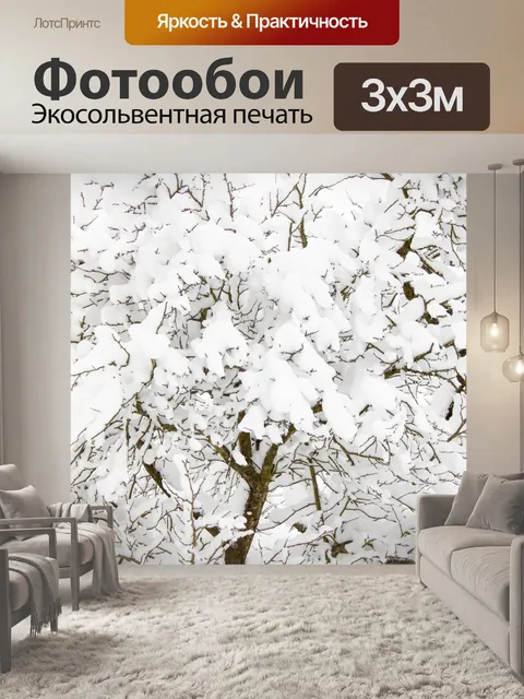 Фотообои Дерево зимой