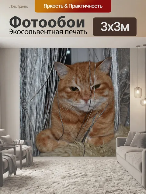 Фотообои Кот