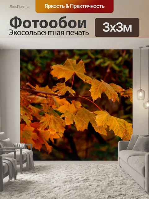 Фотообои Листья