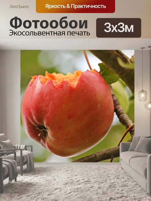 Фотообои Яблоко