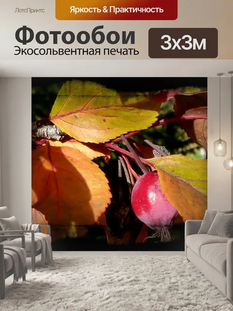 Фотообои Дерево