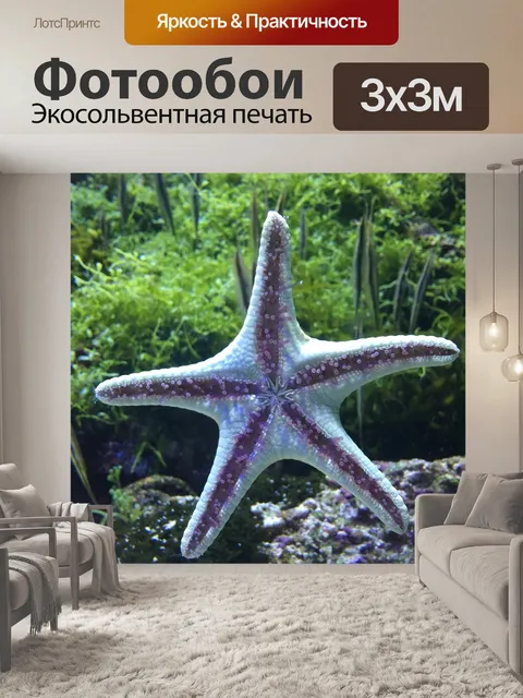 Фотообои Подводный мир