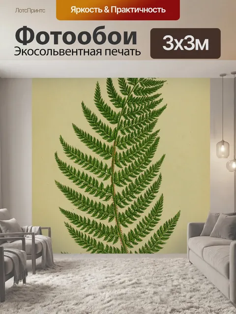 Фотообои Винтажное искусство листьев папоротника