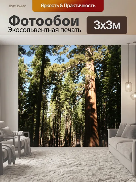 Фотообои Гигантские секвойи в Йосемити