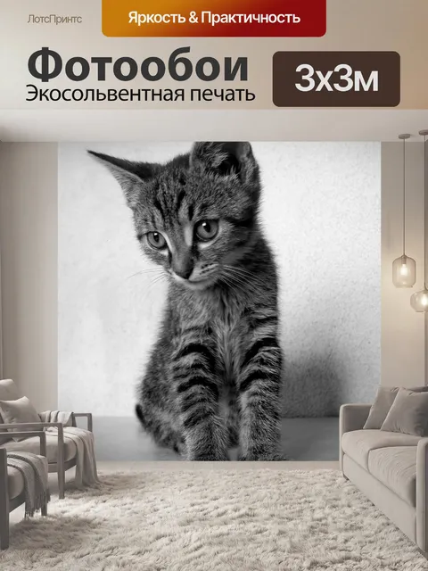 Фотообои Кот