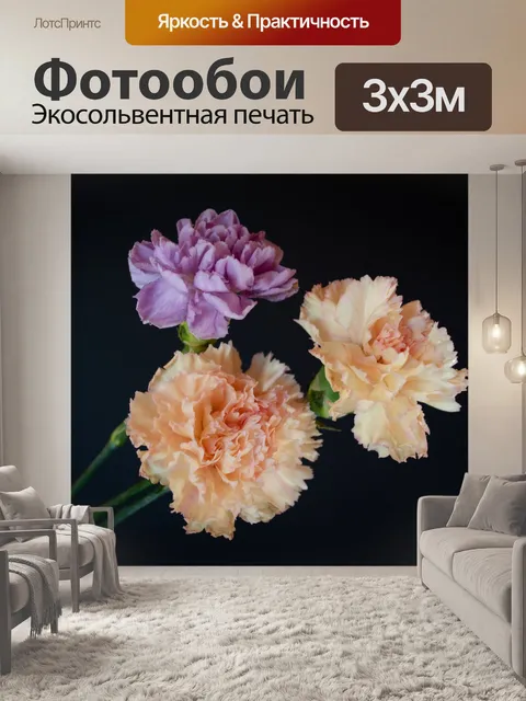 Фотообои гвоздики, букет, бутоны, цветы