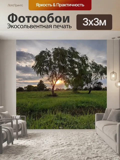 Фотообои Деревья