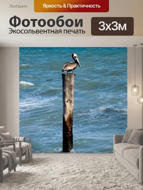 Фотообои Пеликан