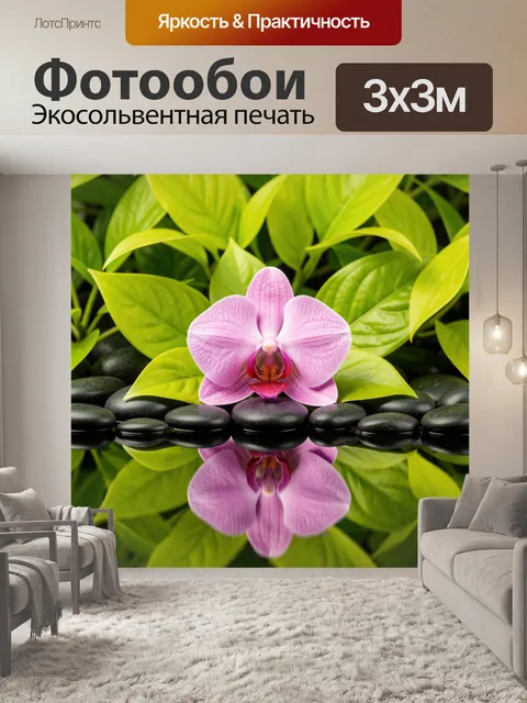 Фотообои Розовая орхидея на камнях