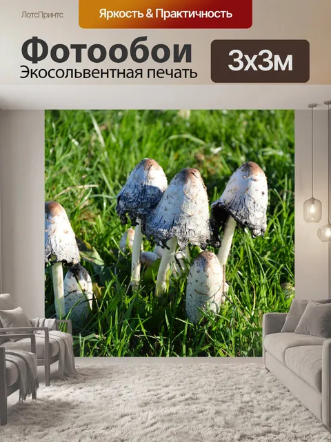 Фотообои Грибы
