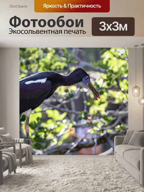 Фотообои Аист Абдима,