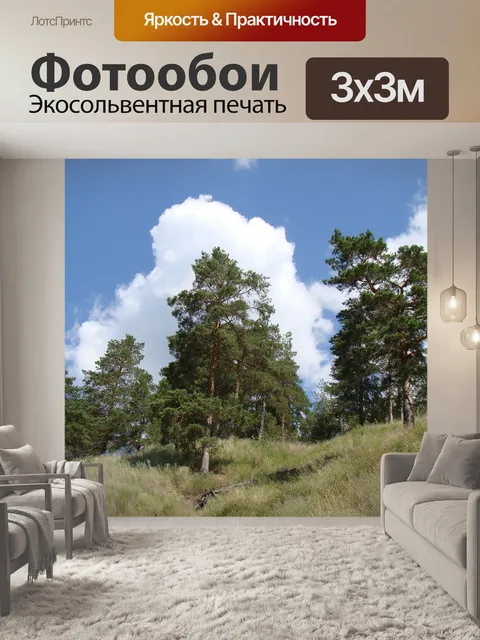 Фотообои Склон