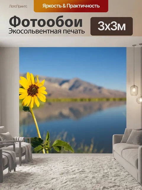 Фотообои На берегу озера подсолнечника