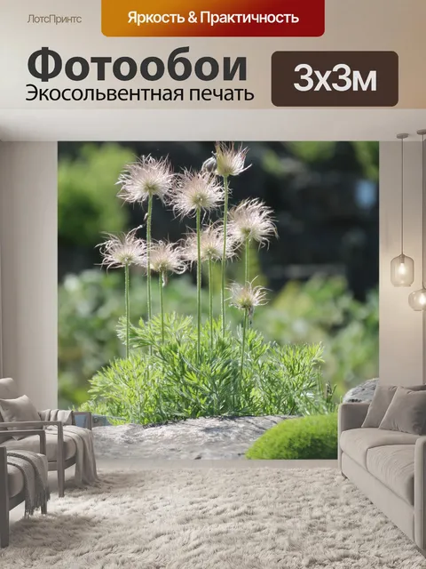 Фотообои Природа