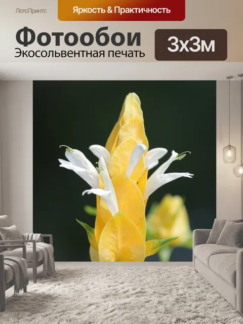 Фотообои Цветок Золотой Креветки