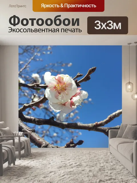 Фотообои Расцветает