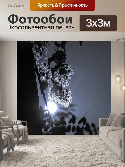 Фотообои Клематис