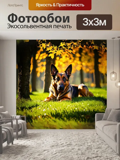 Фотообои неподвижная немецкая овчарка, усталая после долгой прогулки в лесу