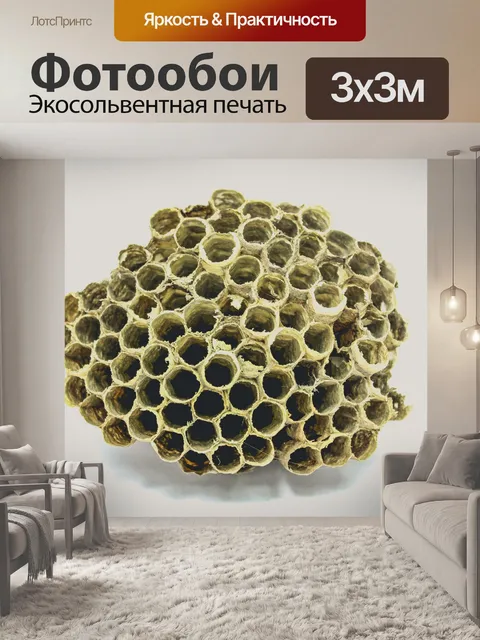 Фотообои Пчелиный улей мед
